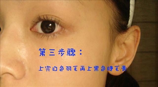 d4370b7b11dcea38c0e4c491af8e4d95-wbwdk
