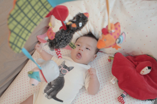 3ebf5c2f62b7f3889896b8c9488dc3f4-vs6gp