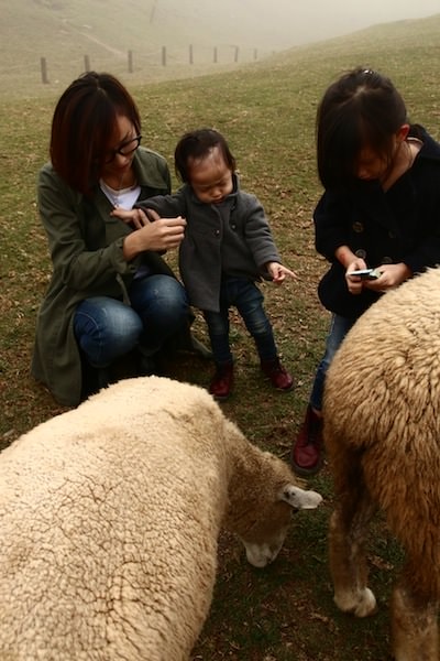 2013-10-23-005802-95-tyxue