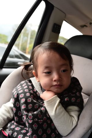 2014-01-13-020849-41-f1wlv