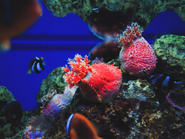 2015-07-05-001014-11-ql59z