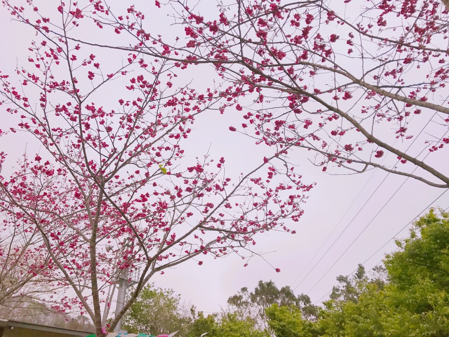 20170328161433_85-hokv1
