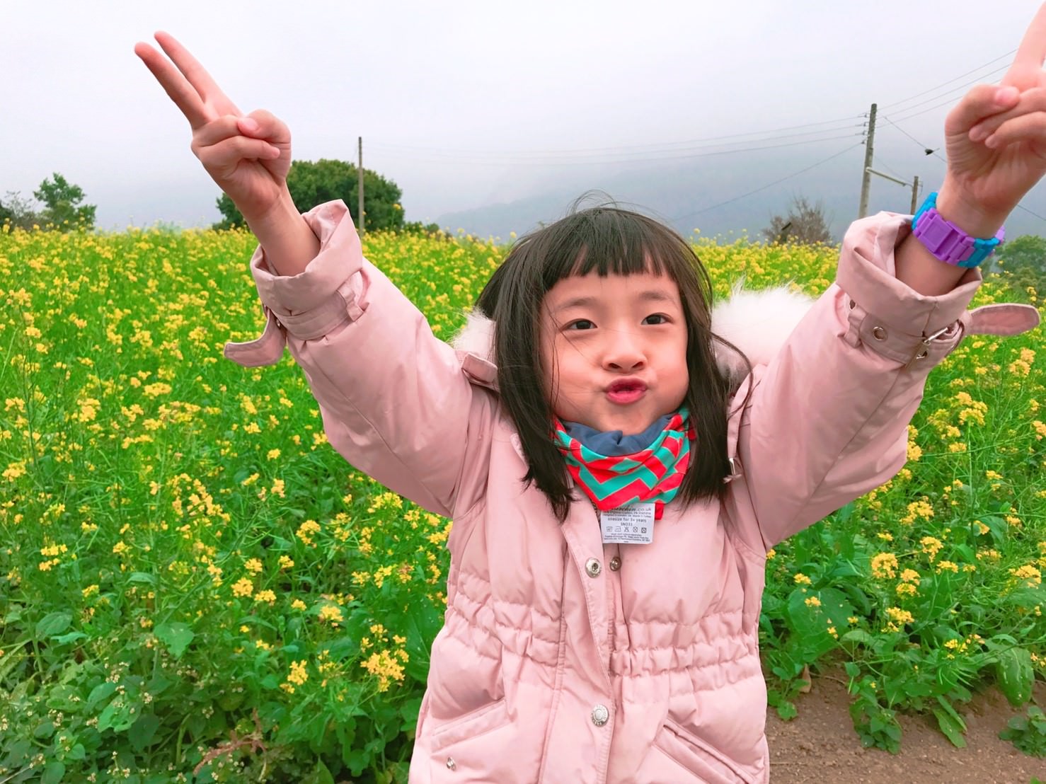 20170328161447_74-fpcqg