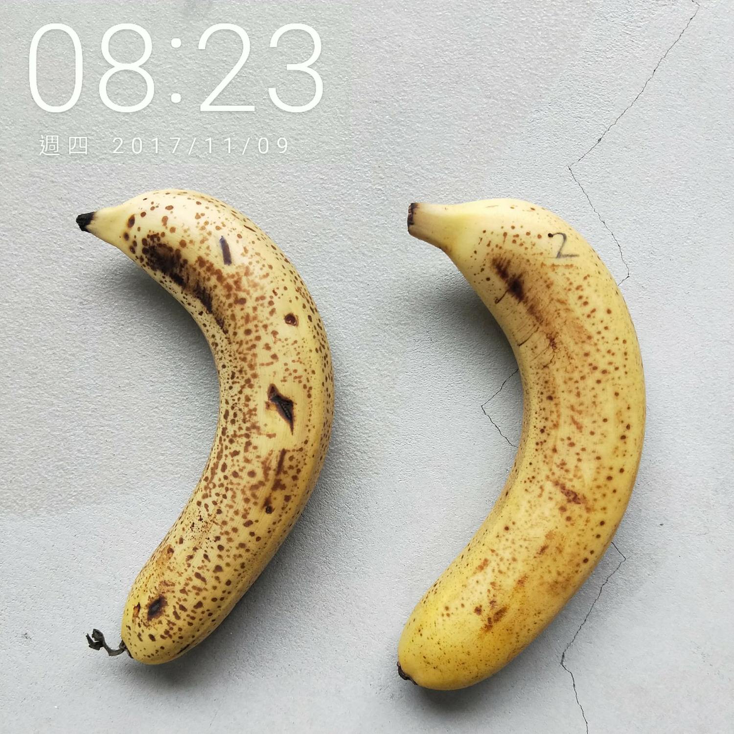 20171117005218_81-7563i