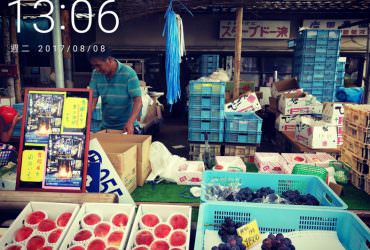 水蜜桃吃到飽。日本之旅。Day2