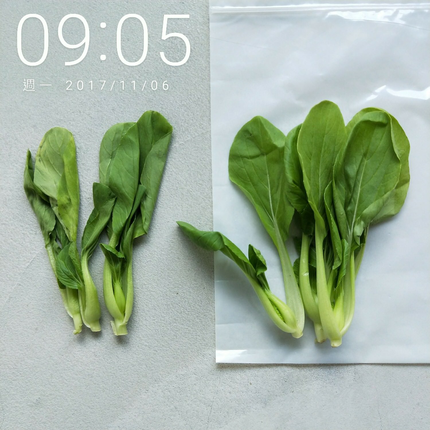 延長蔬果保鮮期-Usii高效鎖鮮袋