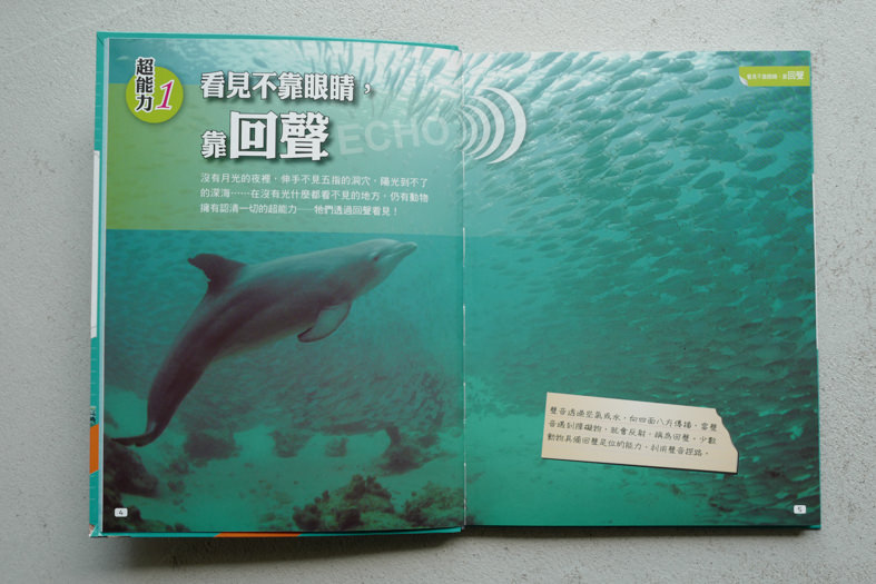 20180305115534_37-lmajb