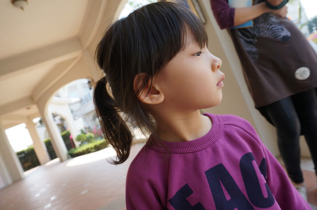 潼潼2Y8M-幼稚園報名