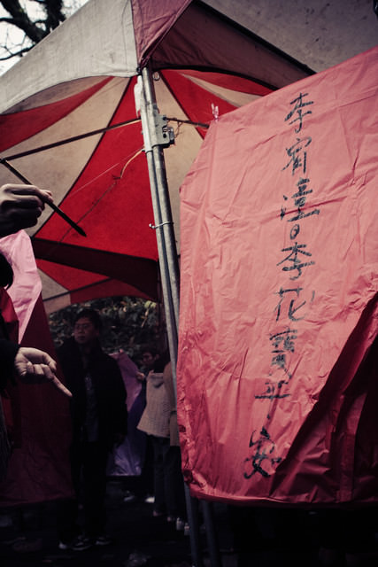 大寶二寶都是寶